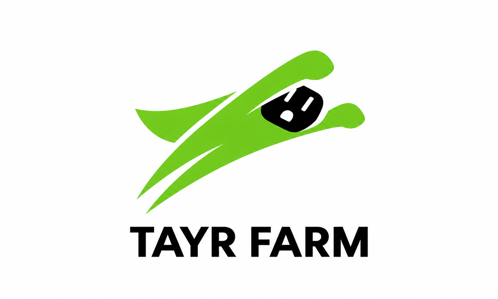 Logo Tayr Farm